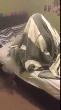 Vapotter sa cigarette electronique au son de Snoop Dog en mode gros aquarium