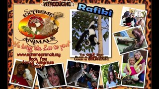 Extreme Animals-Parties and School Events in Oklahoma