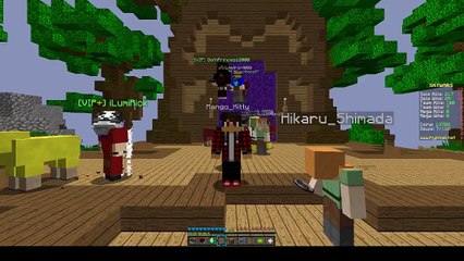 Minecraft Insane SkyWars!! - I Won?! #3