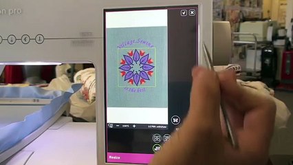 Pfaff Creative Sensation Pro, class 2 embroidery 134