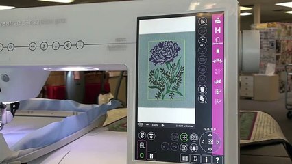 Pfaff Creative Sensation Pro, class 2 embroidery 187