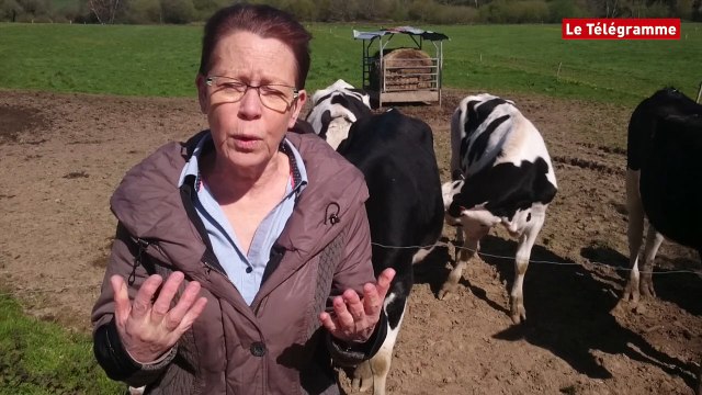 Quimperlé. Les collégiens découvrent les métiers verts