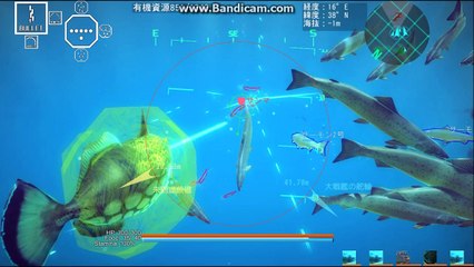 Ace of Seafood　お魚ギャング抗争伝