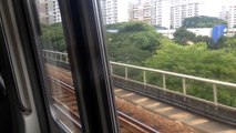[HD](SMRT) Train Ride From Bedok To Tanah Merah (Pasir Ris Bound)