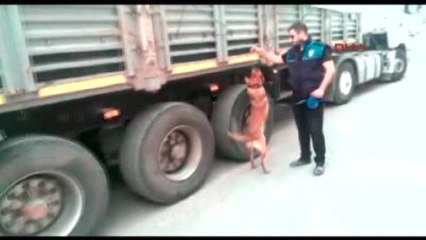 Mardin'de Tır Dolusu Kaçak Sigara Ele Geçirildi