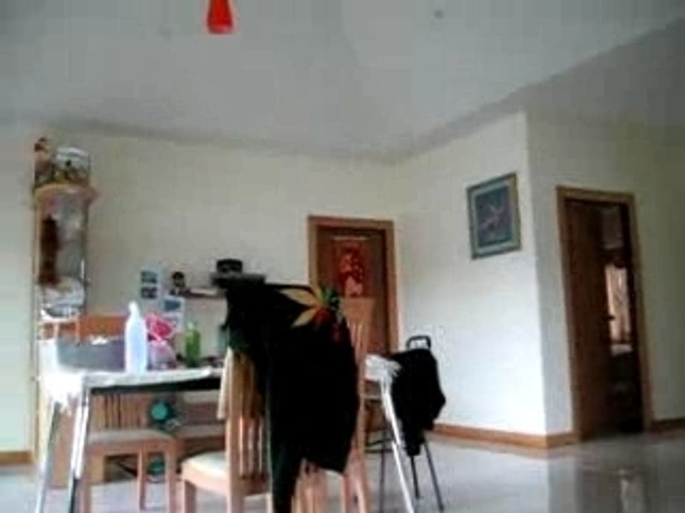 MVI_2558thai