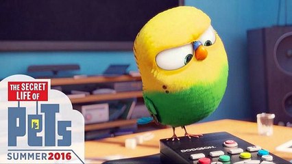 Watch The Secret Life of Pets (2016) Full Movie HD 1080p