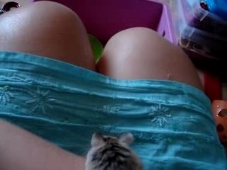 Poops le roborovski apprivoisé