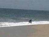 Skim,skimming,skimboard Cabo Contest 2005