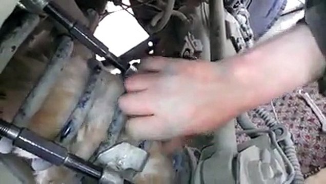 Il sauve un chat coincé dans un amortisseur de voiture