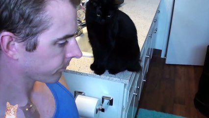 Ultimate Cat Shaming!