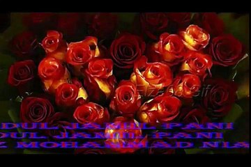 Pashto Natia Tapi- Abdul Jamil Pani