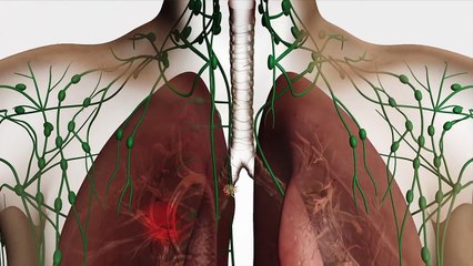 Au coeur des organes : L'immunité adaptative