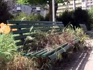 In piazza della Repubblica L erba cresce anche sulle panchine