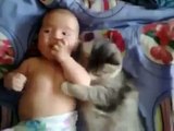 Funny Video Baby Clips - Cute Cat Loves Baby From Funny And Cute Cats And Babies Collection New - Vide
