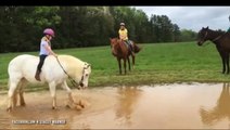 Cute pony dunks his tiny rider before having fun in muddy puddle in this adorable clip