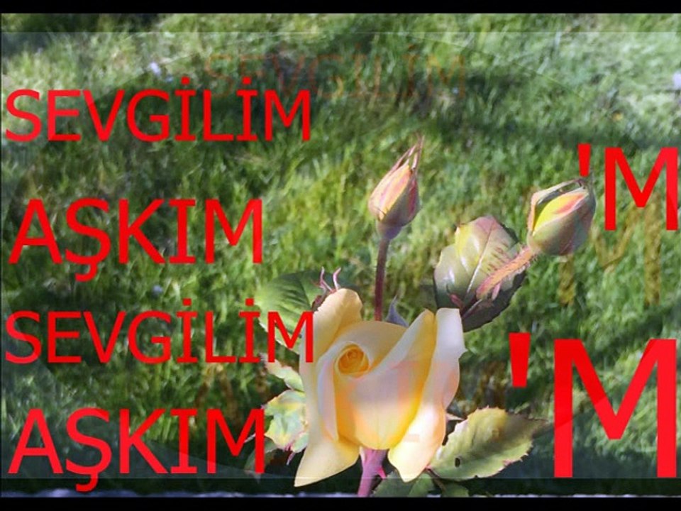 Mediha Şen Sancakoğlu-İnan ki Kimse Bana,Senin gibi bakmadı