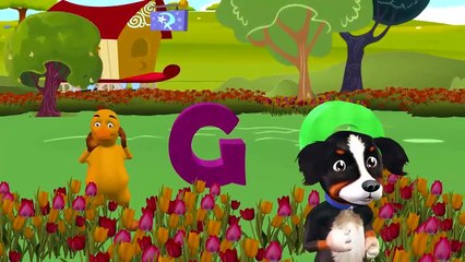 BINGO Dog Song - Nursery Rhyme With Lyrics - Cartoon Animation Rhymes & Songs for Children