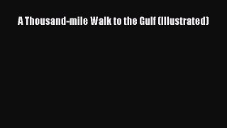 Download A Thousand-mile Walk to the Gulf (Illustrated) PDF Online