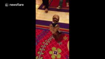 Dog walks through casino like a human