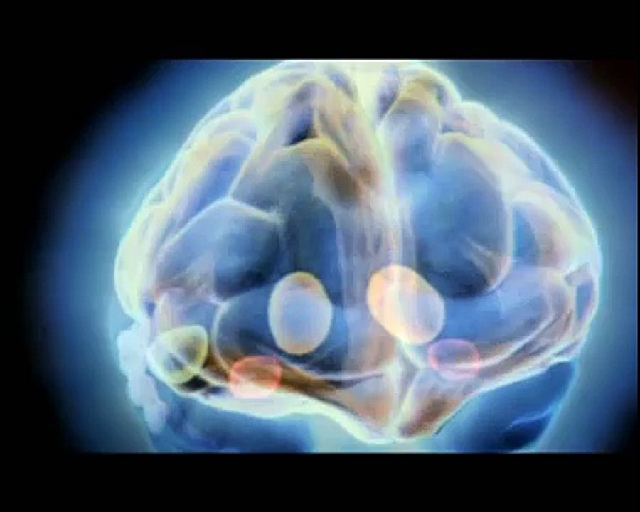 Накачай мозг с NTA