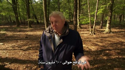 (ديـفيد أتينـبور رحـلة للحيــاة الأولـى الحلقه الاولى القدوم (الوصول