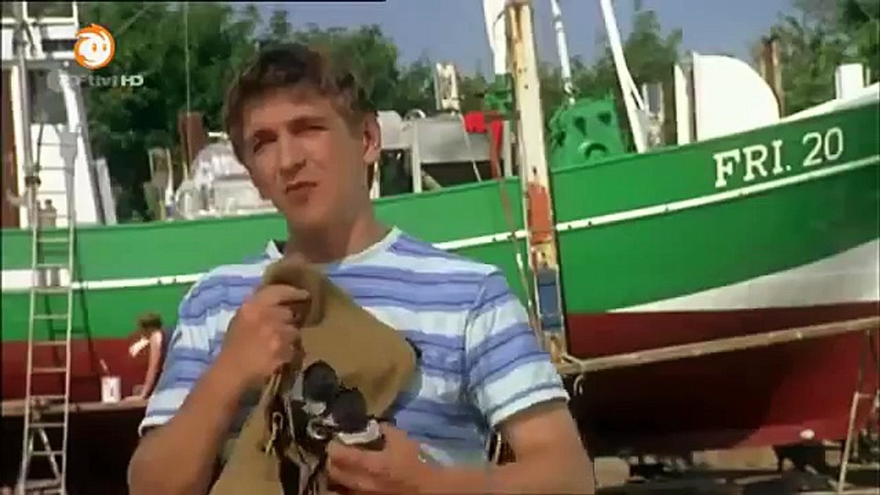 Löwenzahn 207 Robben Ein Fischfresser auf Landgang