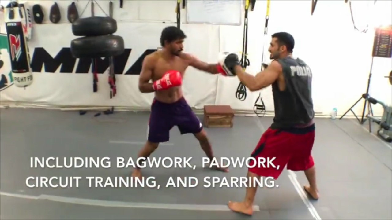 Weekend Warriors - Synergy