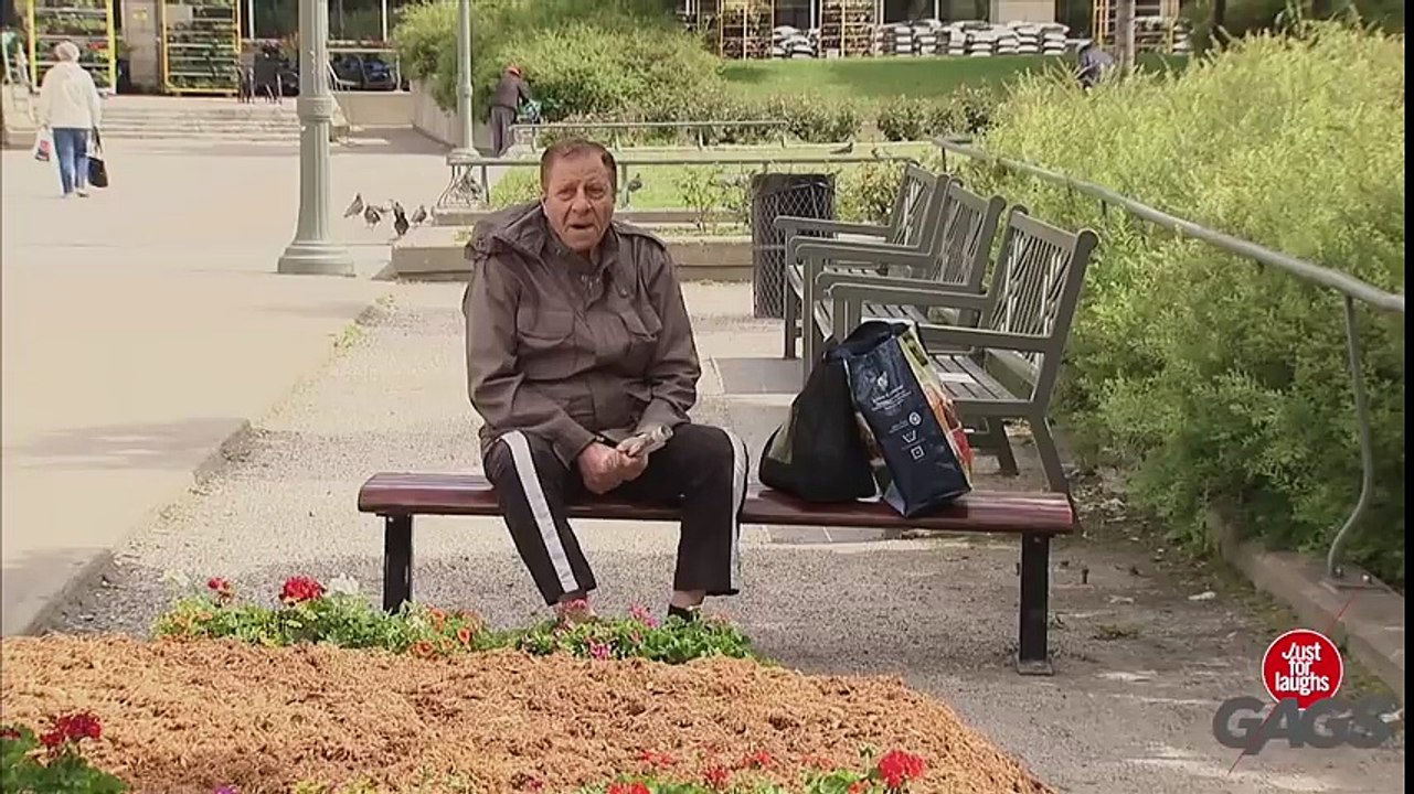 Toilet Seat Catapults Blind Man