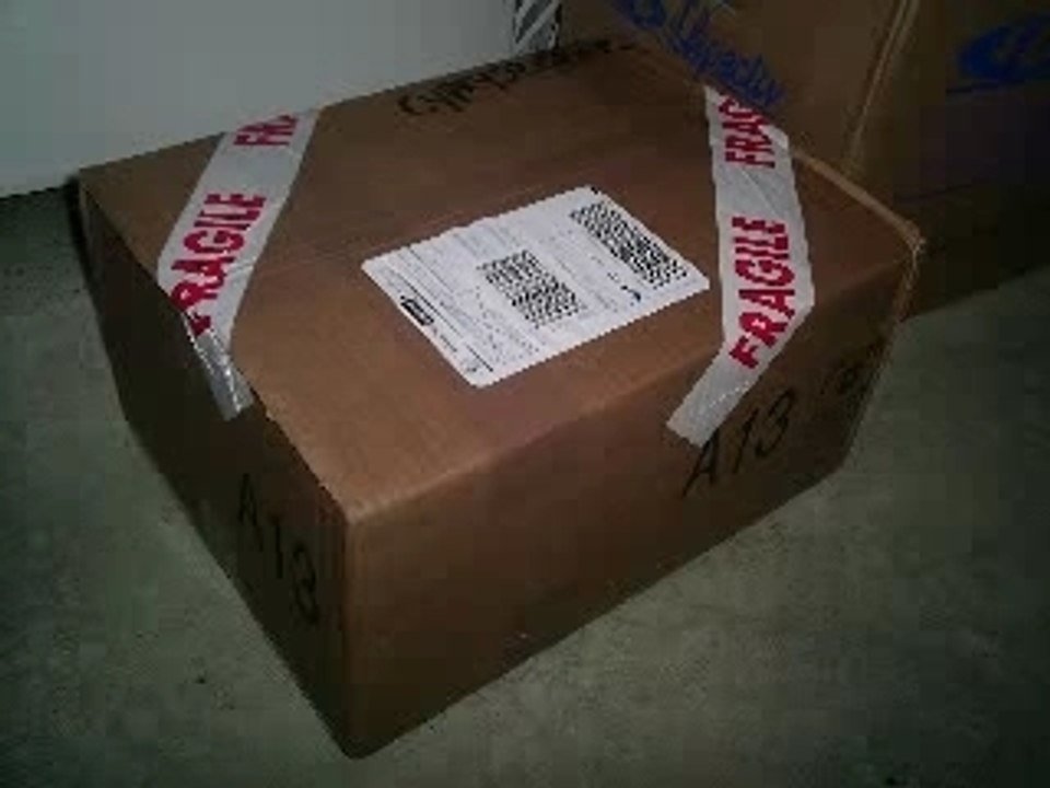 Montage video ludix snake furious