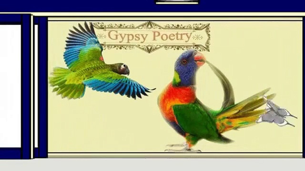 Ki Karda Dilbar Ki Karda