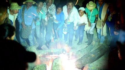 De la guerrilla a la madre tierra: regreso de jóvenes indígenas
