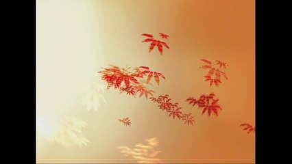 Agim Zajmi Takim Eksklusiv- ALSAT