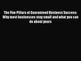 [Read book] The Five Pillars of Guaranteed Business Success: Why most businesses stay small