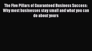 [Read book] The Five Pillars of Guaranteed Business Success: Why most businesses stay small