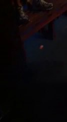 Guy Scared by Snake Prank Falls Off Porch