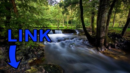 Download Neverwinter steam keygen telecharger 2016