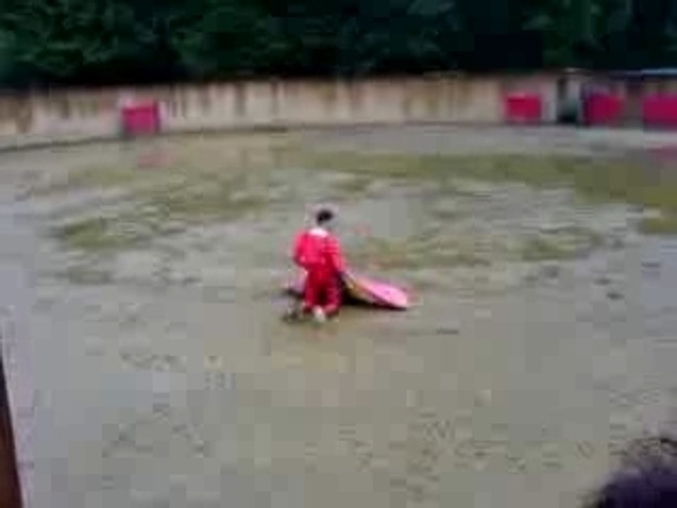 MOV00010