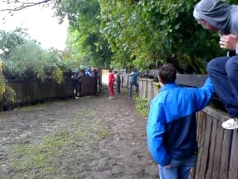 MOV00012