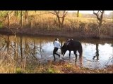 CUTE! Horse Discovers that Splashing Water in the River is Fun