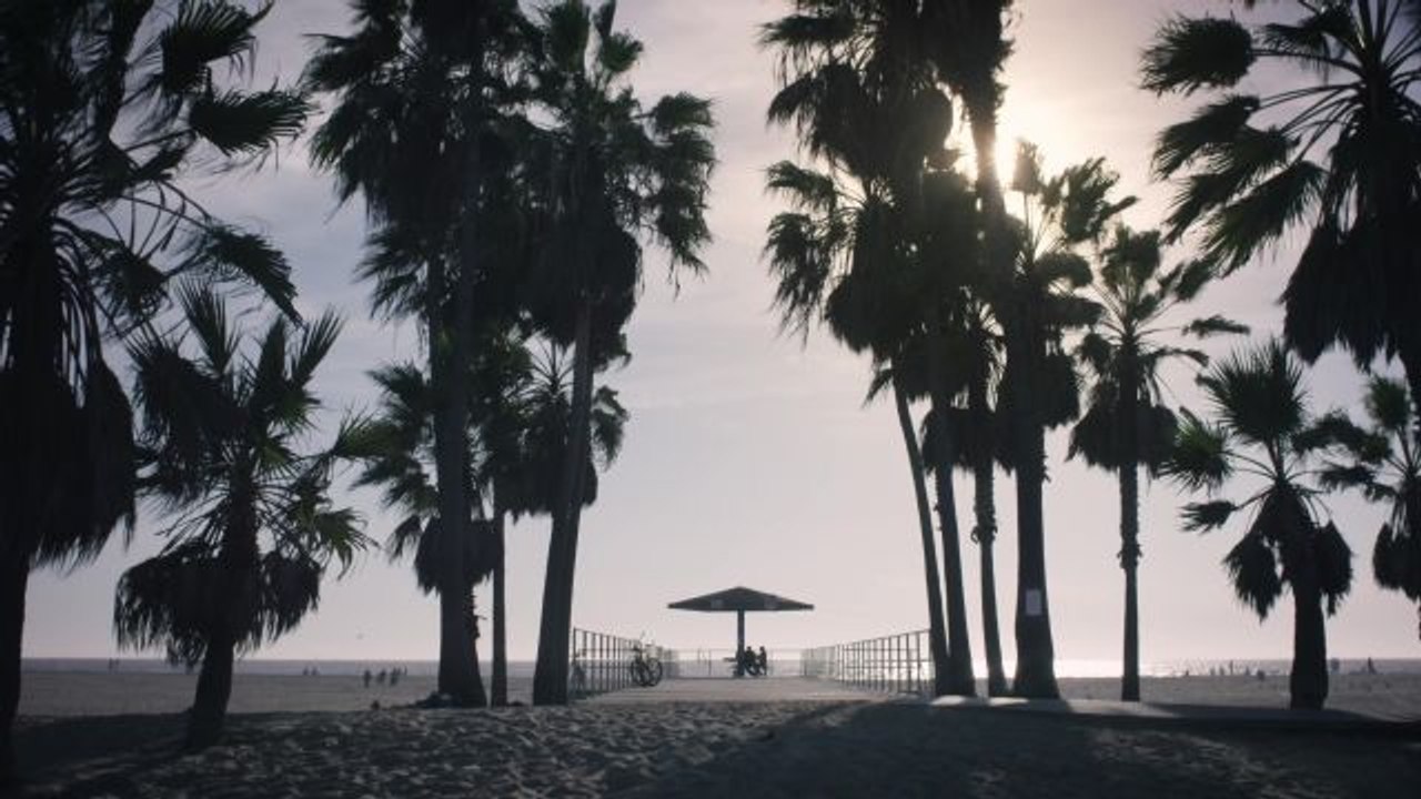 Sincerely LA