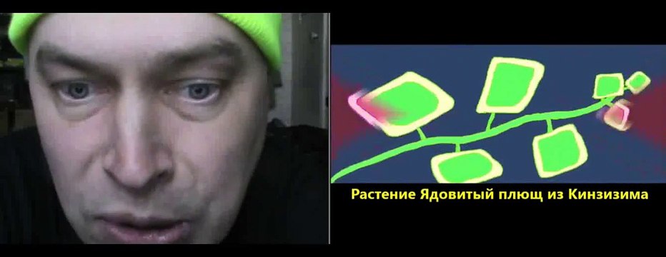Геннадий Дерюгин говорит про растение