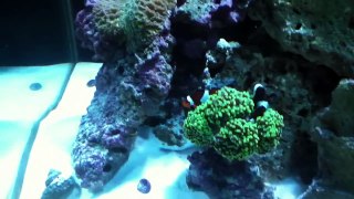 120 Reef Update