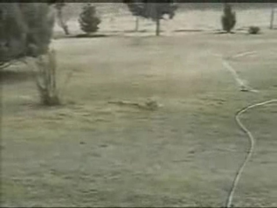 Lapin contre serpent