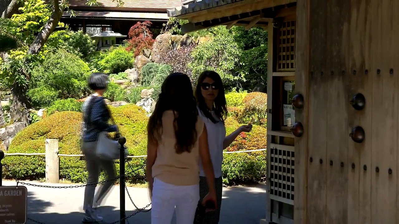 San francisco trip 3