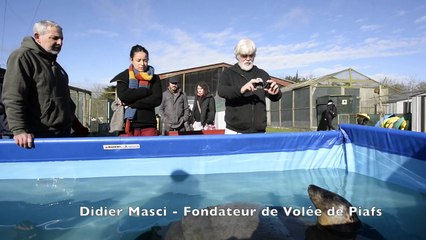 Paul Watson chez Volée de Piafs