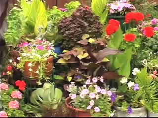 Choosing a Soil Mix