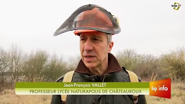 Chantier nature en Brenne 01-03-2016