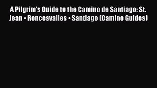 Read A Pilgrim's Guide to the Camino de Santiago: St. Jean • Roncesvalles • Santiago (Camino