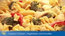 Creamy Chicken Vegetables and Noodles